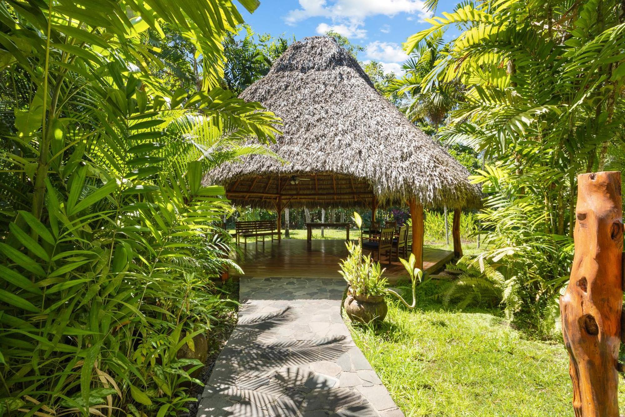 Tambor Tropical Beach Resort- Adults Only Luaran gambar