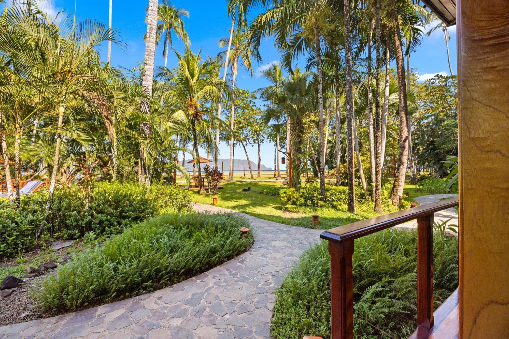 Tambor Tropical Beach Resort- Adults Only Bilik gambar